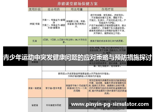 青少年运动中突发健康问题的应对策略与预防措施探讨