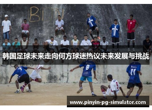 韩国足球未来走向何方球迷热议未来发展与挑战
