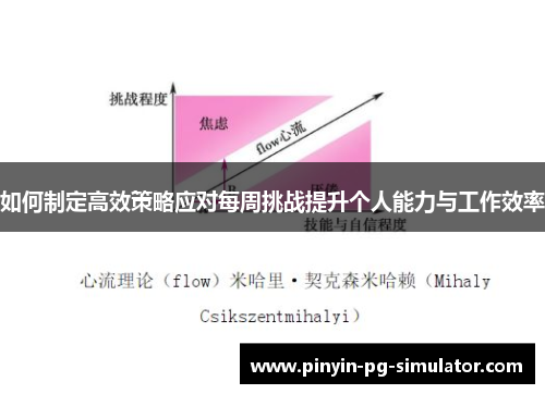 如何制定高效策略应对每周挑战提升个人能力与工作效率
