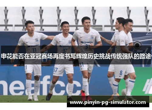 申花能否在亚冠赛场再度书写辉煌历史挑战传统强队的路途